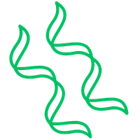 I nostri prodotti più venduti