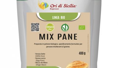 MIX PANE BIO SENZA GLUTINE 400 GR.