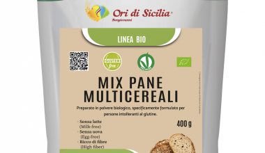 MIX PANE MULTICEREALI BIO SENZA GLUTINE 400 GR.