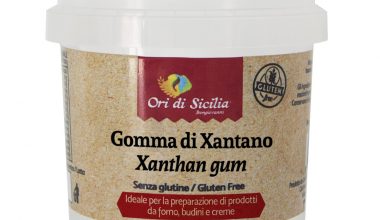 Gomma di xantano gr. 100